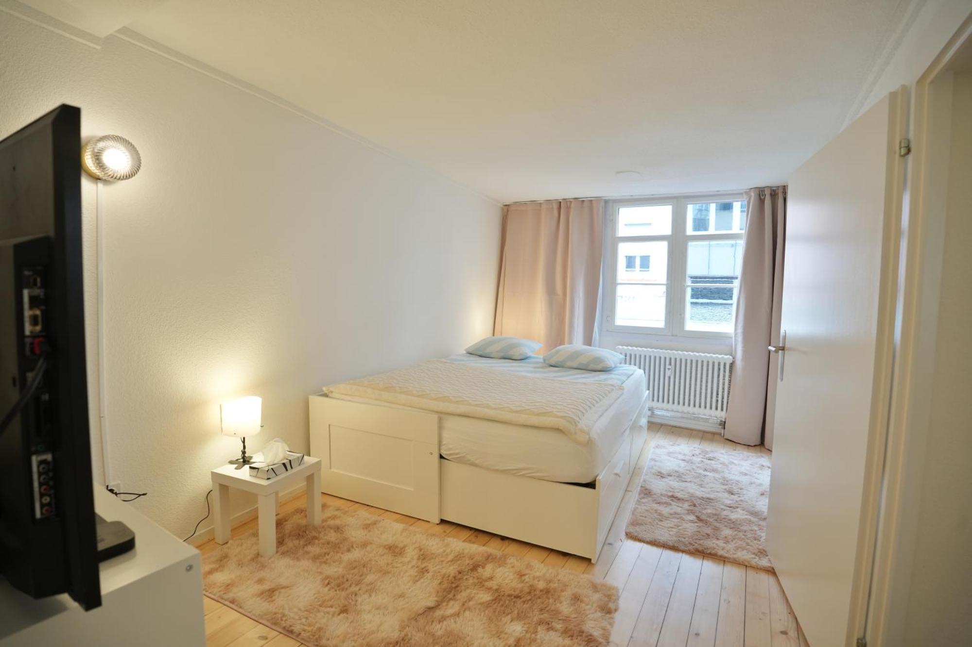 Cozy City Center, 4 Bedroom- 120Sq, 5Min Walk To Main Station Basel Eksteriør bilde